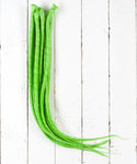 DreadLab - Single Ended Synthetic Dreadlocks (Pack of 10) Backcombed Extensions Spring Green